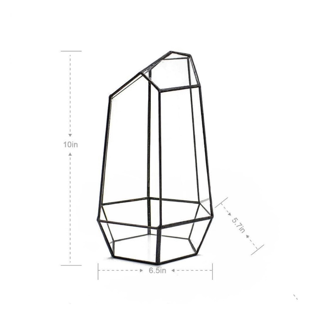 Tall open geometric terrarium